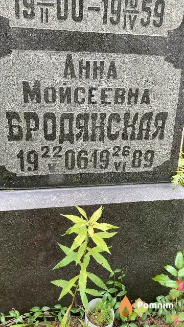 Бродянская Анна Мойсеевна