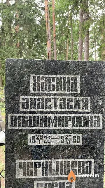 Хасина Анастасия Владимировна