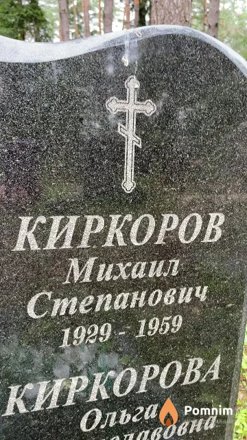 Киркоров Михаил Степанович