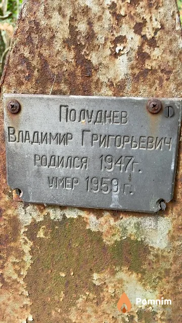 Полуднев Владимир Григорьевич