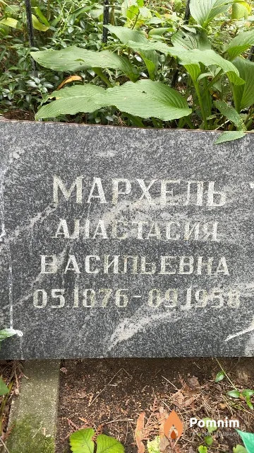 Мархель Анастасия Васильевна
