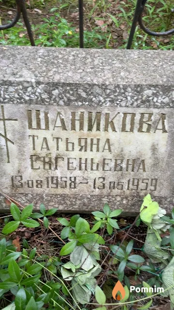 Шаникова Татьяна Енгеньевна