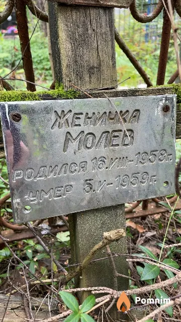 Молев Женичка