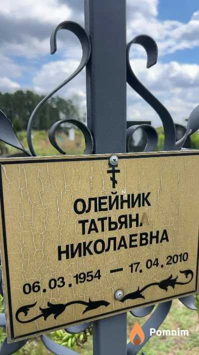 Олейник Татьяна Николаевна