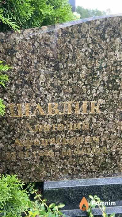 Шавлик Анатолий Афанасьевич