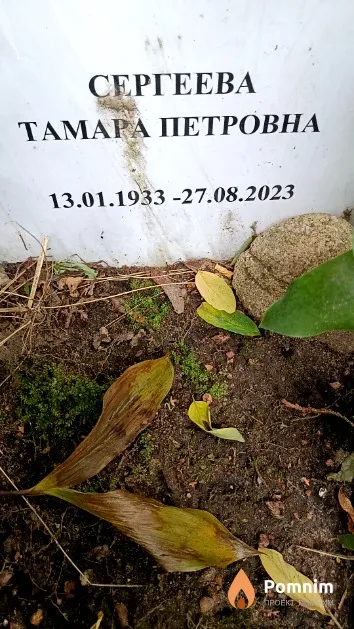 Сергеева Татьяна Петровна