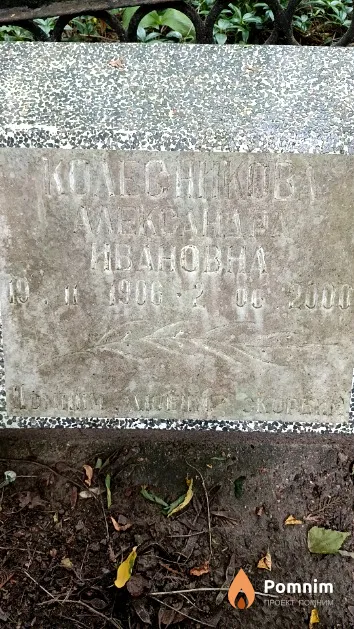 Колесникова Александра Ивановна