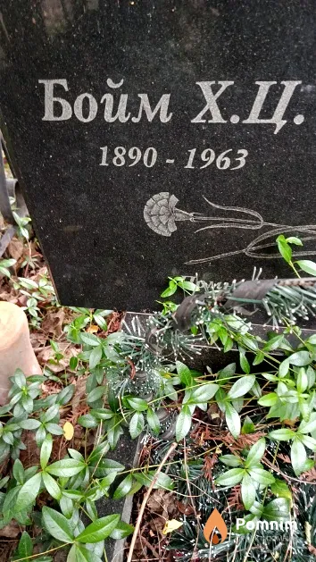 Бойм Х. Ц.