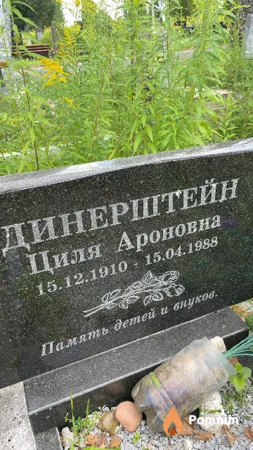 Динерштейн Циля Ароновна