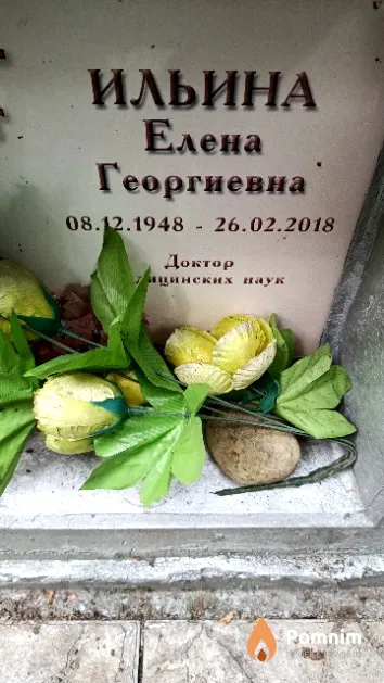 Ильина Елена Георгиевна
