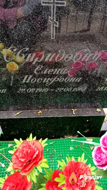 Свиридович Елена Иосифовна