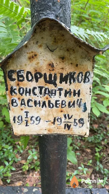 Сборщиков Константин Васильевич