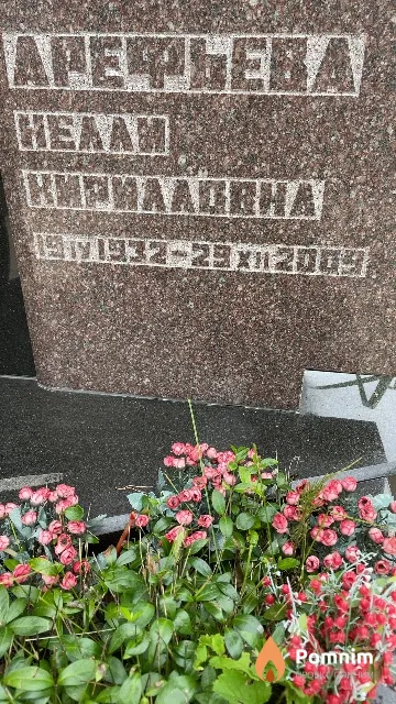 Арефьева Нелли Кирилловна