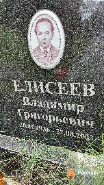 Елисеев Владимир Григорьевич
