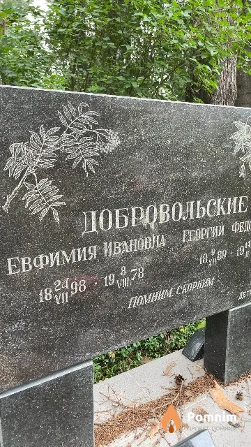 Добровольская Ефимия Ивановна