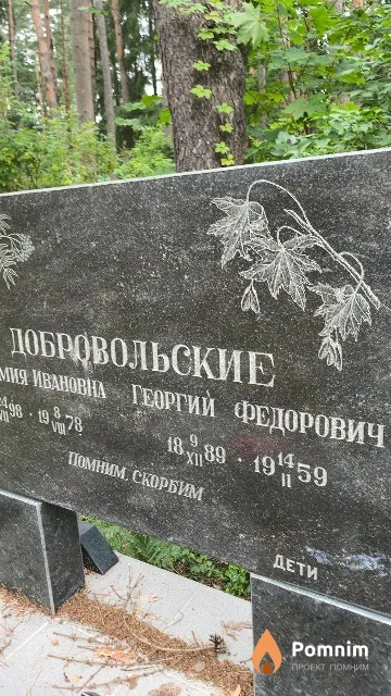 Добровольский Георгий Федорович