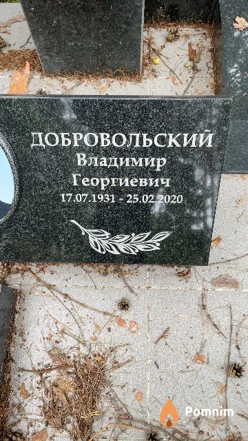 Добровольский Владимир Георгиевич