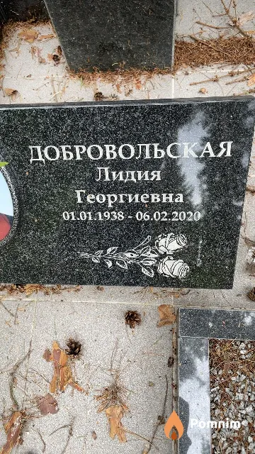Добровольская Лидия Георгиевна