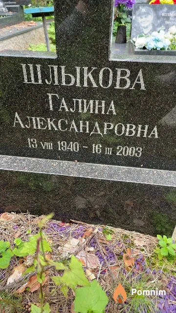 Шлыкова Галина Александровна