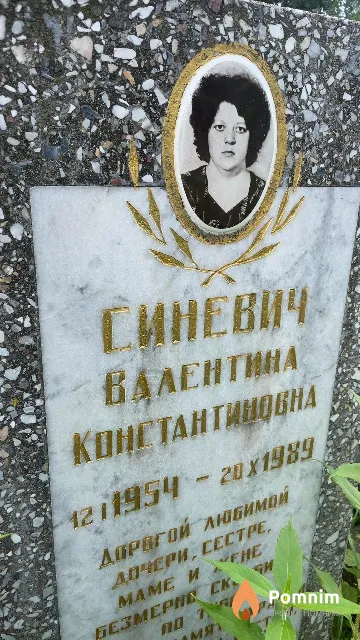 Синевич Валентина Константиновна