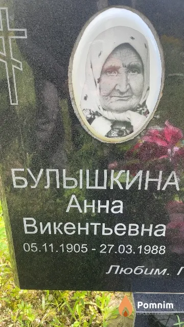 Булышкина Анна Викентьевна