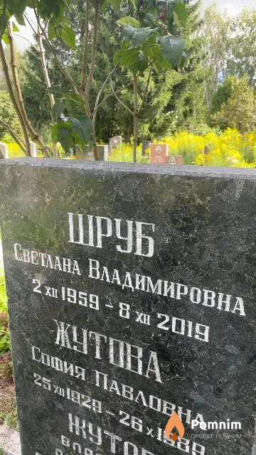 Шруб Светлана Владимировна