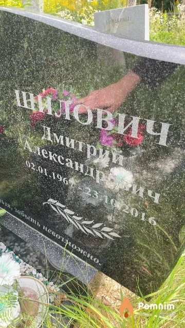 Шилович Дмитрий Александрович