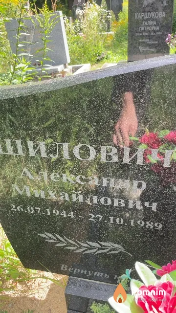 Шилович Александр Михайлович