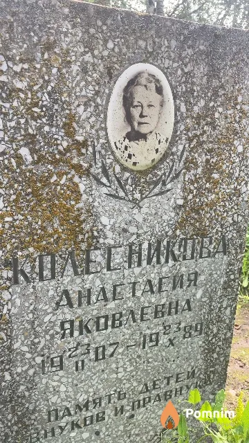 Колесникова Анастасия Яковлевна