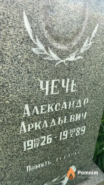 Чече Александр Аркадьевич