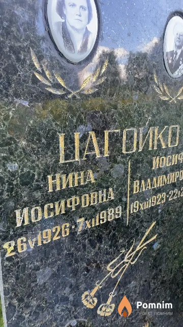 Цагойко Нина Иосифовна