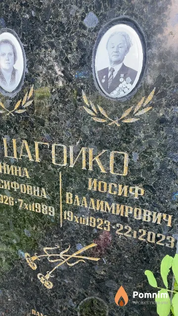 Цагойко Иосиф Владимирович