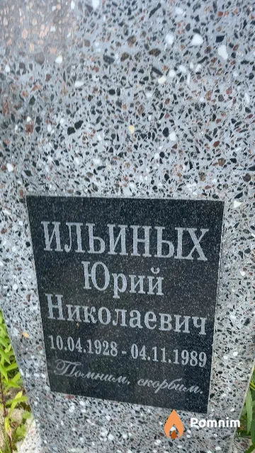 Ильиных Юрий Николаевич
