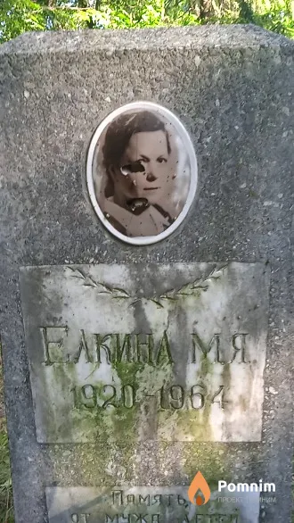 Елкина М. Я.
