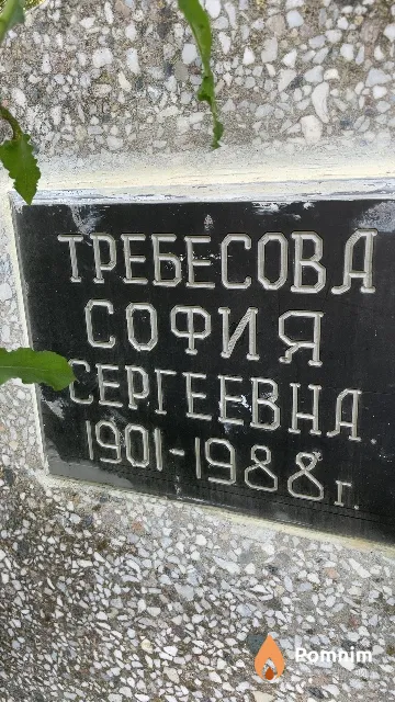 Требесова София Сергеевна