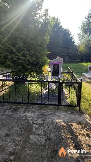 Миронюк Николай Владимирович