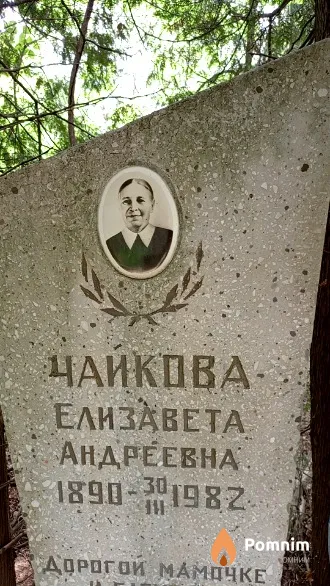 Чайкова Елизавета Андреевна