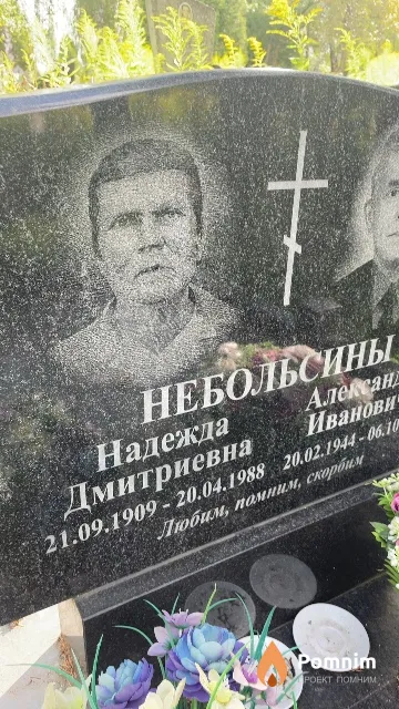 Небольсина Надежда Дмитриевна