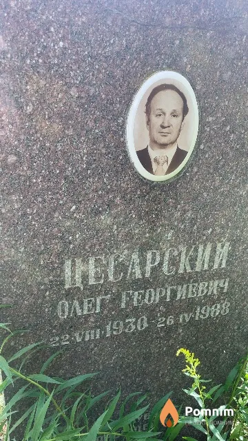 Цесарский Олег Георгиевич