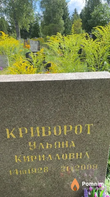 Криворот Ульяна Кирилловна