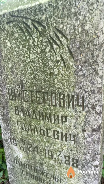 Шустерович Владимир Гдальевич