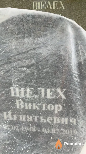 Шелех Виктор Игнатьевич