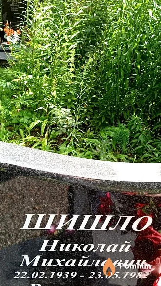 Шишло Николай Михайлович