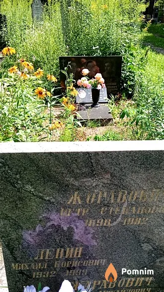Левин Михаил Борисович