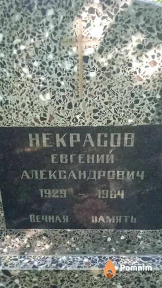 Некрасов Евгений Александрович