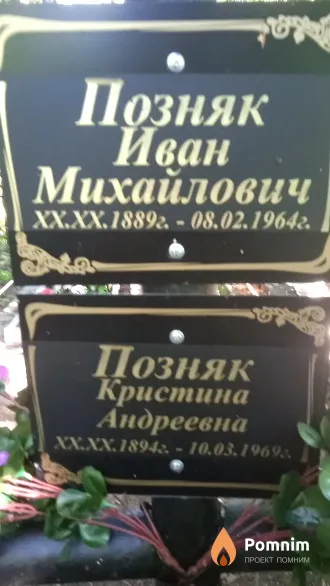 Позняк Кристина Андреевна