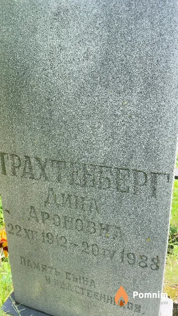 Трахтенберг Дина Ароновна