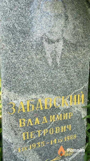 Забавский Владимир Петрович