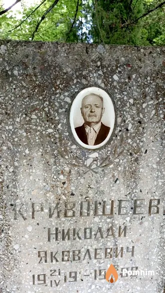 Кривошеев Николай Яковлевич