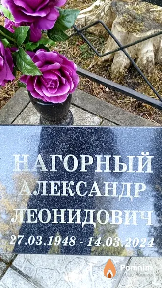Нагорный Александр Леонидович